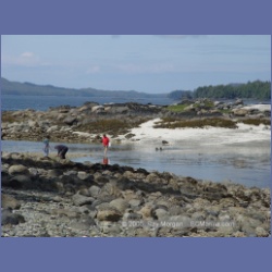 2005_1771_Cessford_Islands_Kitkatla_Inlet.html