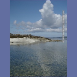 2005_1776_Cessford_Islands_Kitkatla_Inlet.html