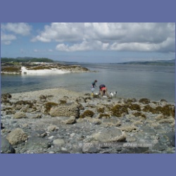 2005_1778_Cessford_Islands_Kitkatla_Inlet.html