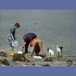 2005_1779_Cessford_Islands_Kitkatla_Inlet.html