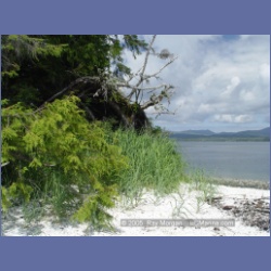 2005_1784_Cessford_Islands_Kitkatla_Inlet.html