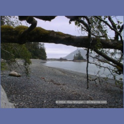 2002_513_Klaskino_Inlet.html