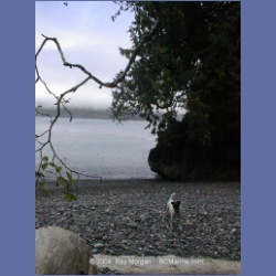 2002_514_Klaskino_Inlet.html