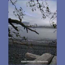 2002_515_Klaskino_Inlet.html
