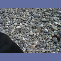 2002_520_Klaskino_Inlet.html