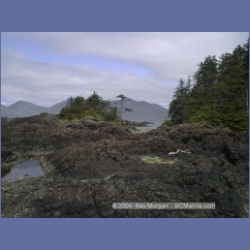 2002_532_Klaskino_Inlet.html