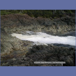 2002_533_Klaskino_Inlet.html