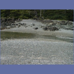 2002_536_Klaskino_Inlet.html