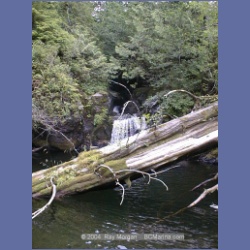 2002_541_Klaskino_Inlet.html