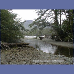 2002_542_Klaskino_Inlet.html