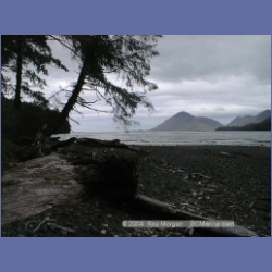 2002_543_Klaskino_Inlet.html