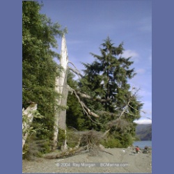 2002_544_Klaskino_Inlet.html
