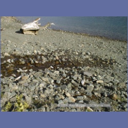 2002_546_Klaskino_Inlet.html