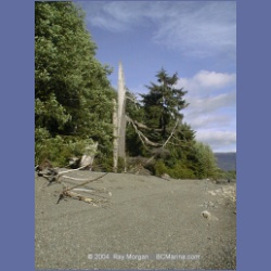 2002_550_Klaskino_Inlet.html