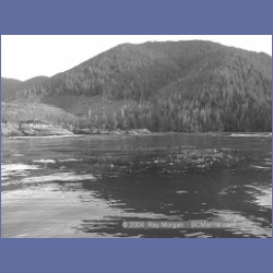 2002_561_Klaskino_Inlet.html