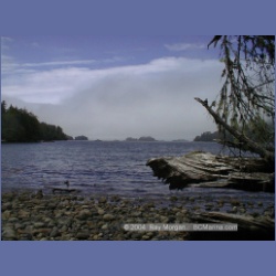 2002_484_Klaskish_Inlet.html