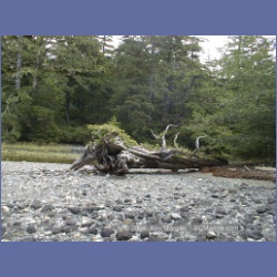 2002_485_Klaskish_Inlet.html