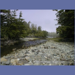 2002_487_Klaskish_Inlet.html