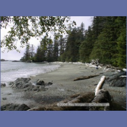 2002_490_Klaskish_Inlet.html
