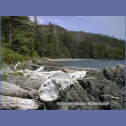 2002_497_Klaskish_Inlet.html