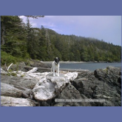 2002_498_Klaskish_Inlet.html