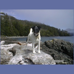 2002_499_Klaskish_Inlet.html