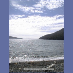 2002_507_Klaskish_Inlet.html