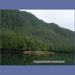 2003_3775_Klaskish_Inlet_Brooks_Bay.html