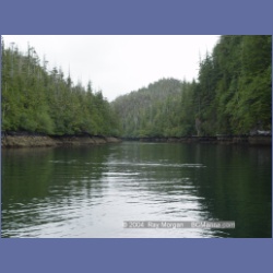 2003_3779_Klaskish_Inlet_Brooks_Bay.html