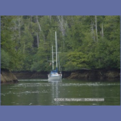 2003_3781_Elske_Klaskish_Inlet.html