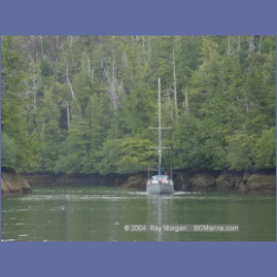2003_3784_Elske_Klaskish_Inlet.html