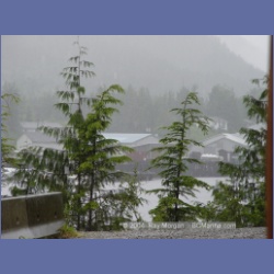 2003_4559_Klemtu_BC.html