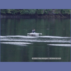 2003_4614_Klemtu_BC.html
