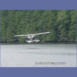 2004_7352_Klemtu_Swindle_Island.html