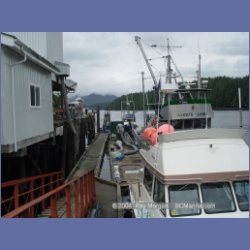 2004_7357_Klemtu_Swindle_Island.html
