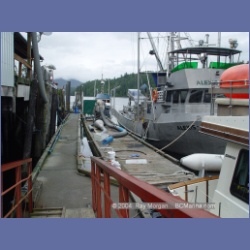 2004_7361_Klemtu_Swindle_Island.html