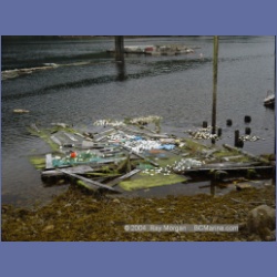 2004_7375_Klemtu_Swindle_Island.html