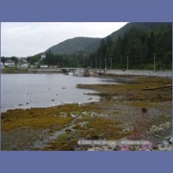 2004_7377_Klemtu_Swindle_Island.html