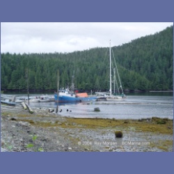 2004_7394_Klemtu_Swindle_Island.html