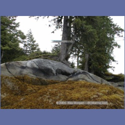 2000_126_Klewnuggit_Inlet.html