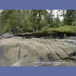 2000_128_Klewnuggit_Inlet.html
