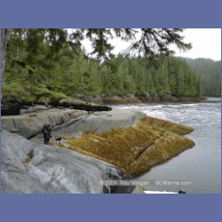 2000_136_Klewnuggit_Inlet.html