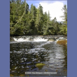 2002_734_Kwakwa_Creek_Kitasoo_Bay.html
