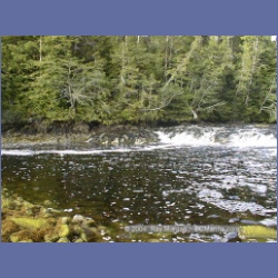 2002_735_Kwakwa_Creek_Kitasoo_Bay.html
