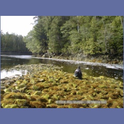 2002_738_Kwakwa_Creek_Kitasoo_Bay.html