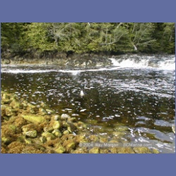 2002_739_Kwakwa_Creek_Kitasoo_Bay.html