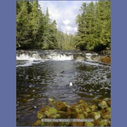 2002_740_Kwakwa_Creek_Kitasoo_Bay.html