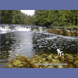 2002_741_Kwakwa_Creek_Kitasoo_Bay.html