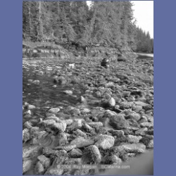 2002_742_Kwakwa_Creek_Kitasoo_Bay.html