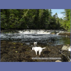 2003_4398_Kwakwa_Creek_Kitasoo_Bay.html